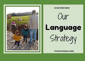 Our Language Strategy