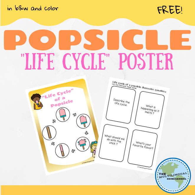Popsicle Life Cycle Poster